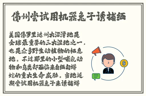 年轻的护士3